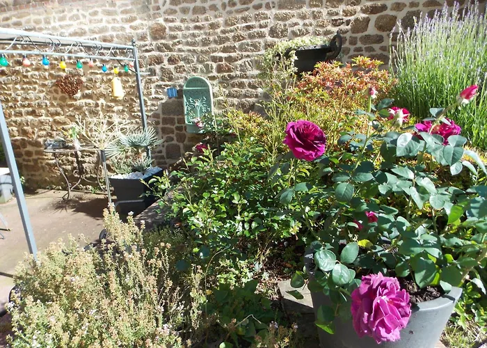 La Vie De Chateau En Toute Amitie Et Simplicite * Montaudin